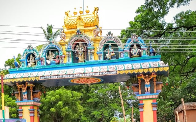 Kanyakumari Thovalai Flower Market Landscape Image